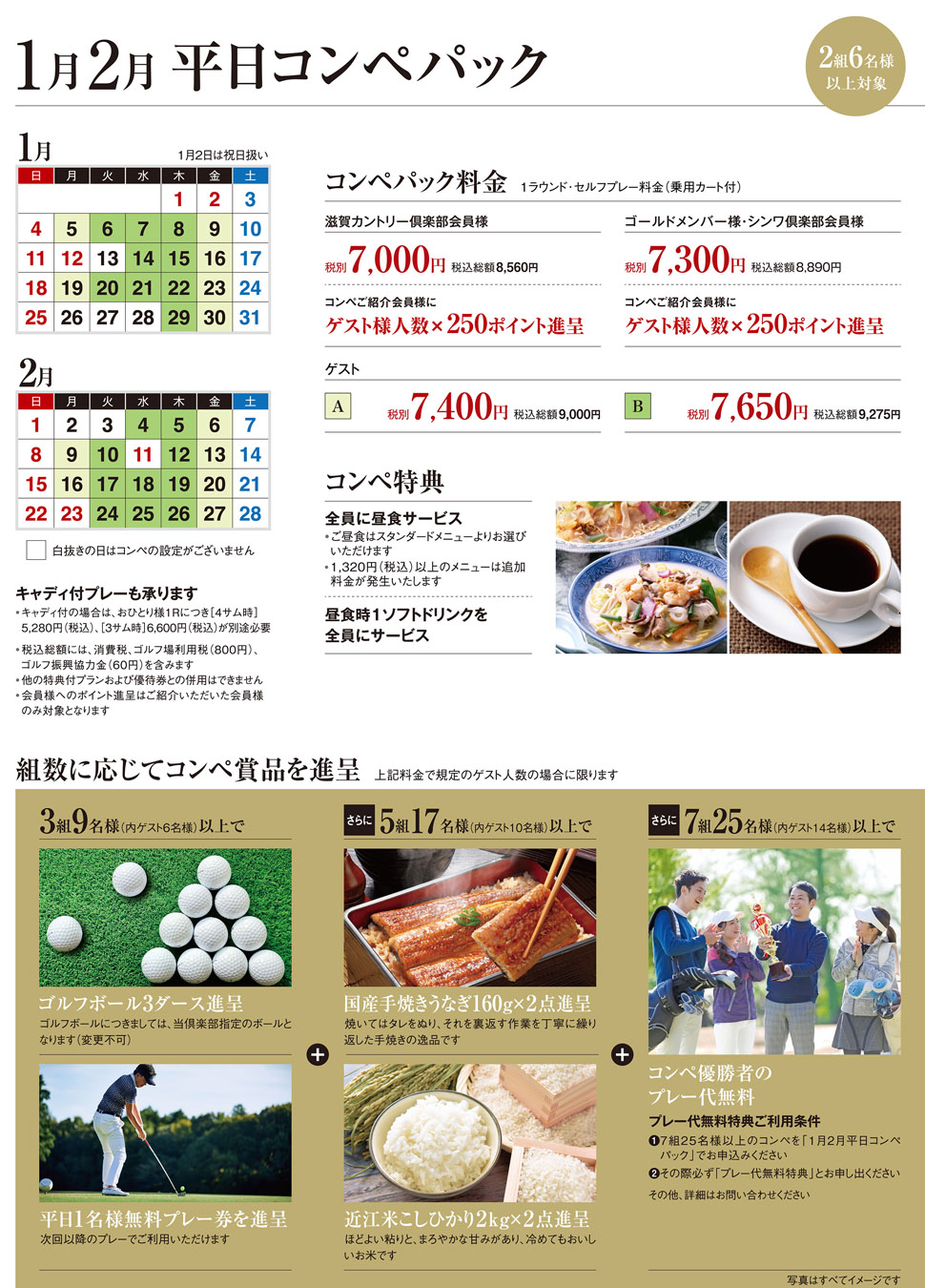 コンペパック料金